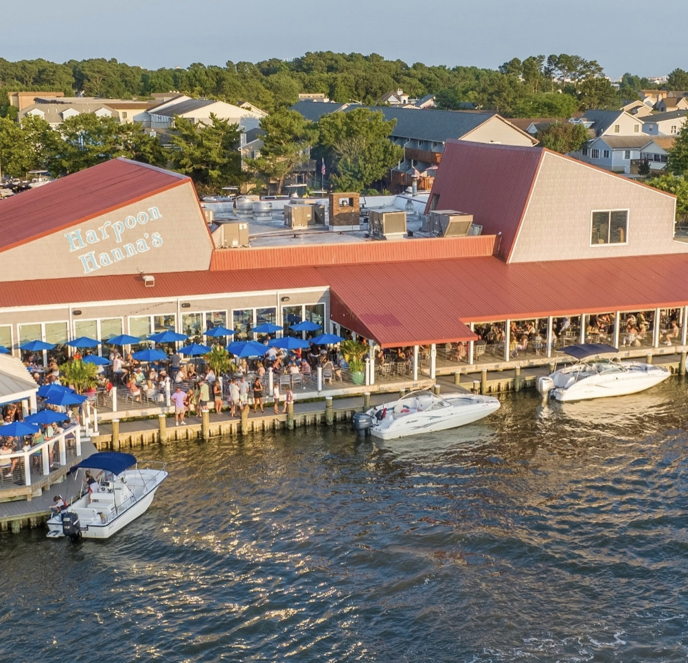 Harpoon Hanna’s photo